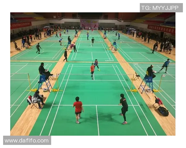 西安羽毛球队在挑战赛中的表现与经验总结分析